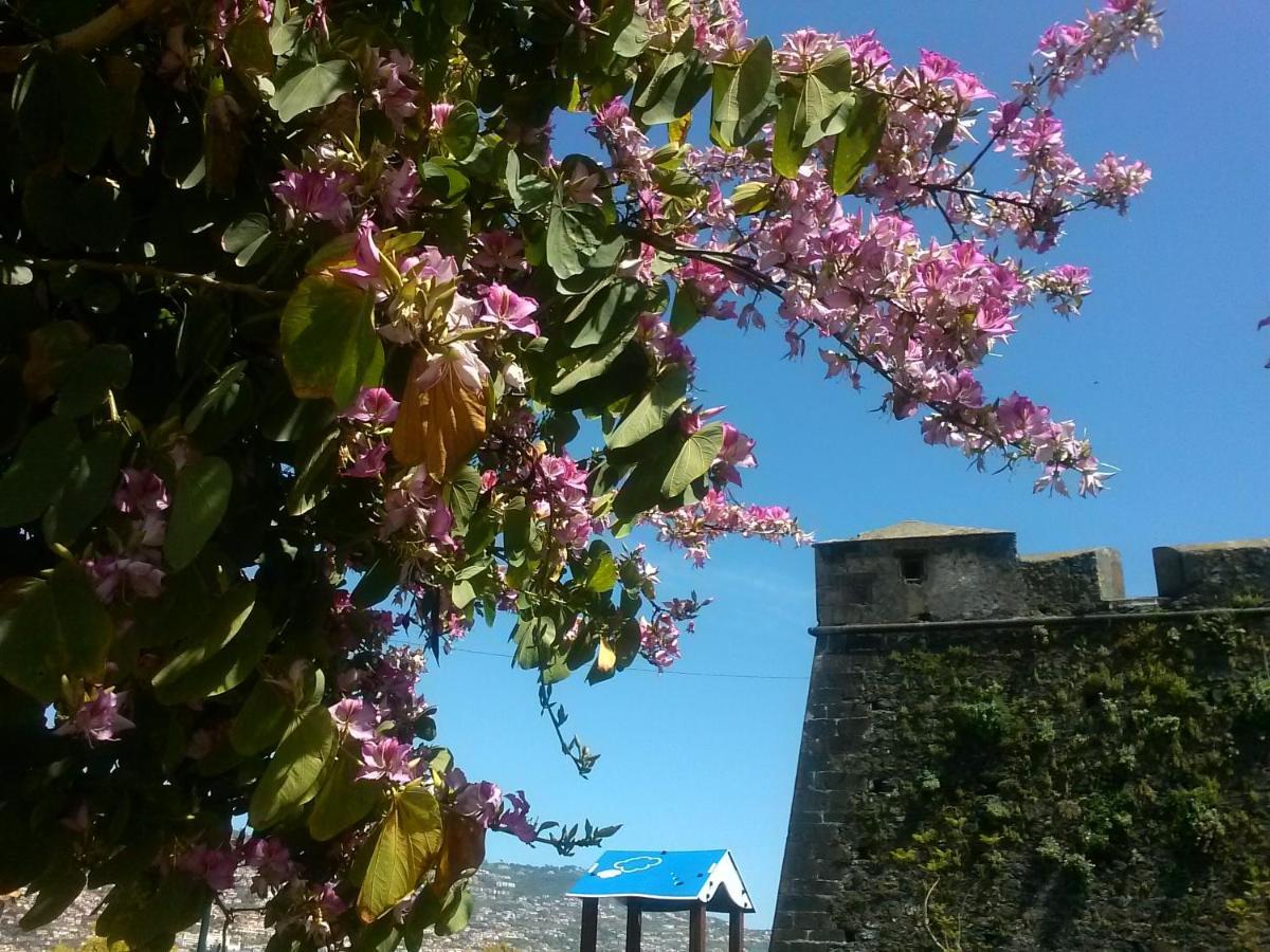 Apartament Casa Pico Musica Funchal  Zewnętrze zdjęcie