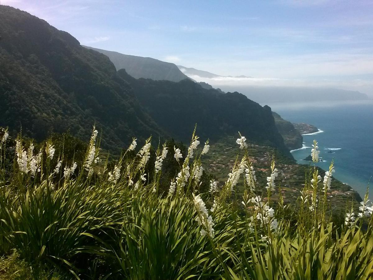 Apartament Casa Pico Musica Funchal  Zewnętrze zdjęcie