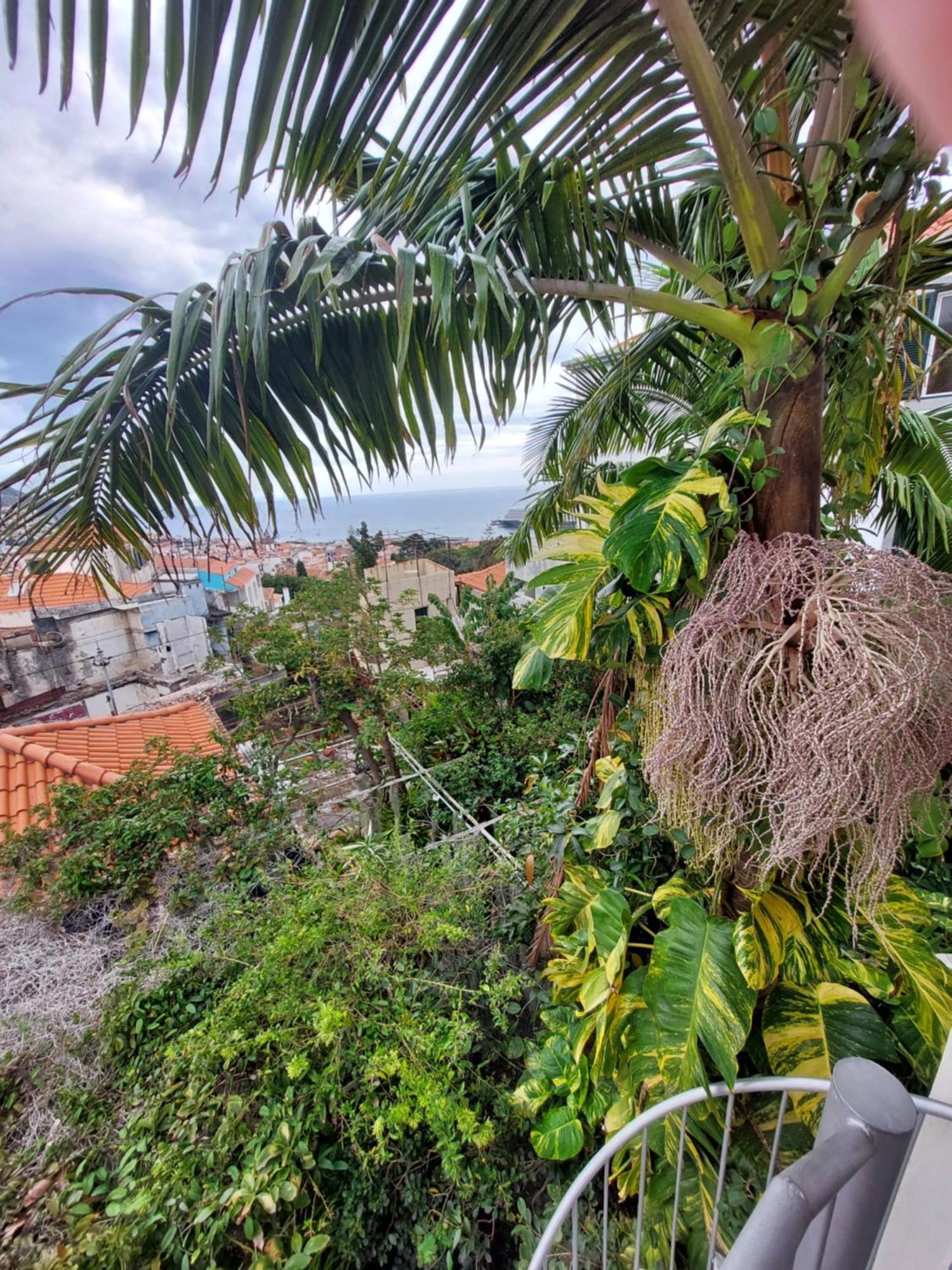 Apartament Casa Pico Musica Funchal  Zewnętrze zdjęcie