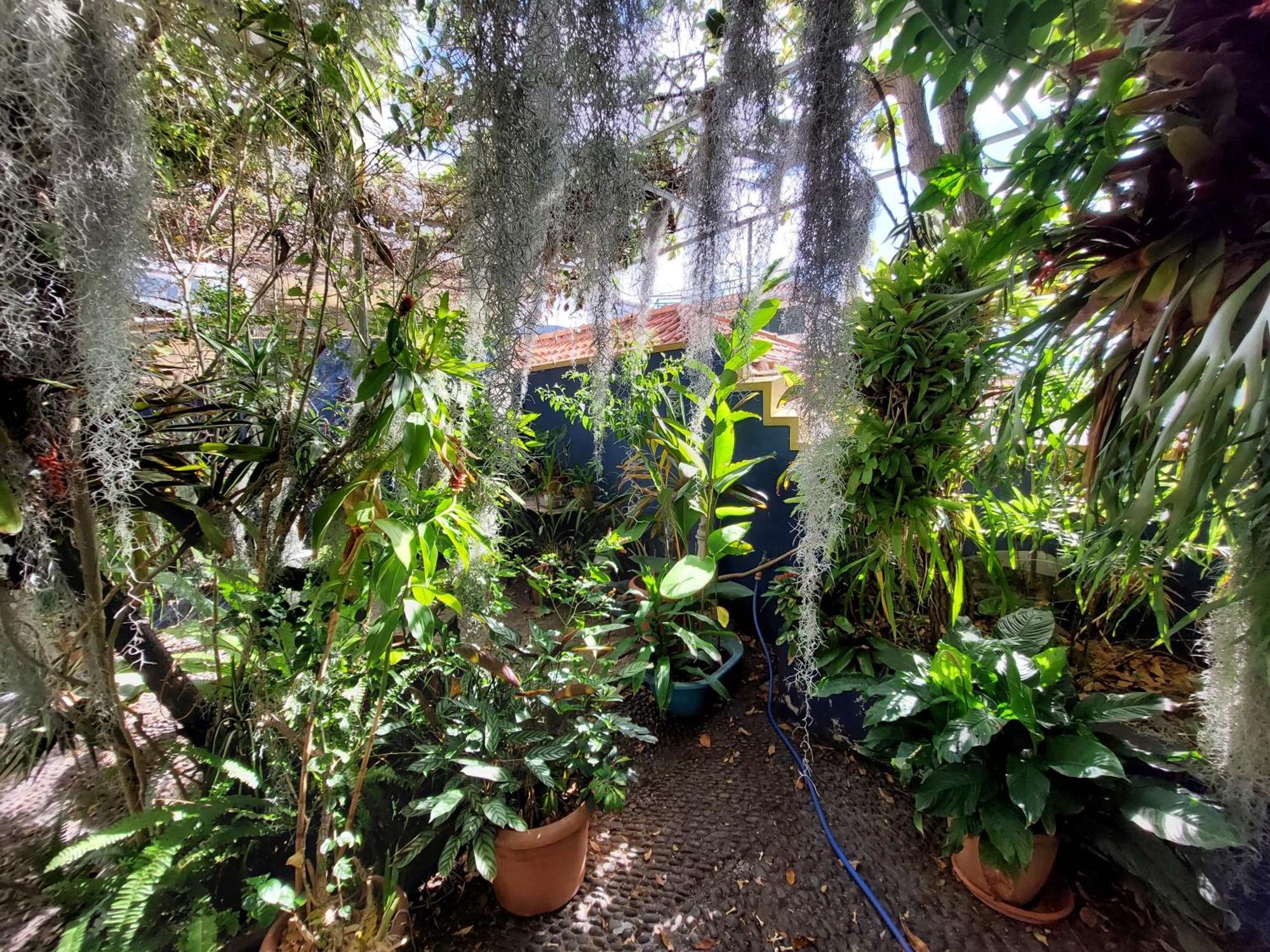 Apartament Casa Pico Musica Funchal  Zewnętrze zdjęcie