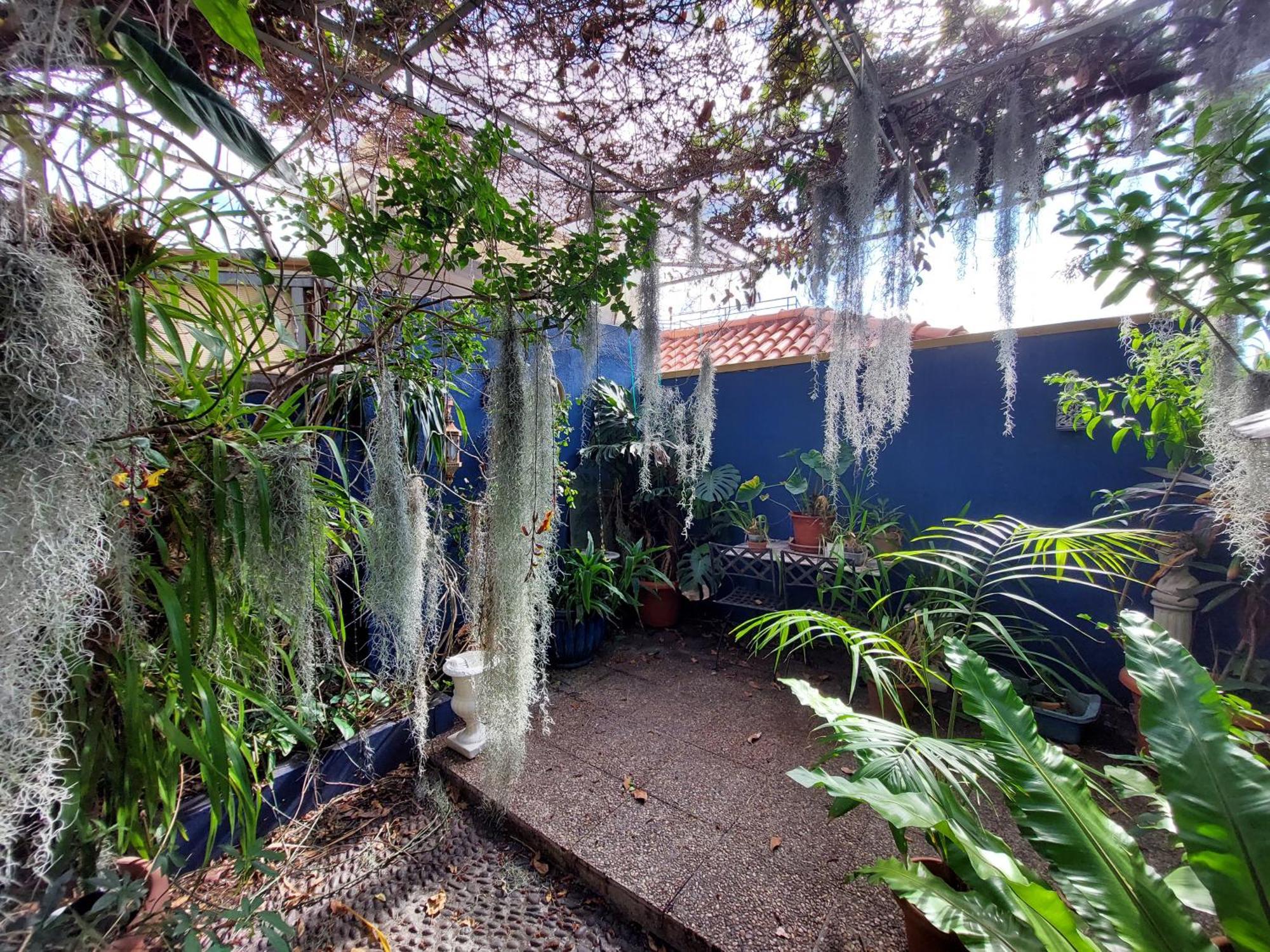 Apartament Casa Pico Musica Funchal  Zewnętrze zdjęcie